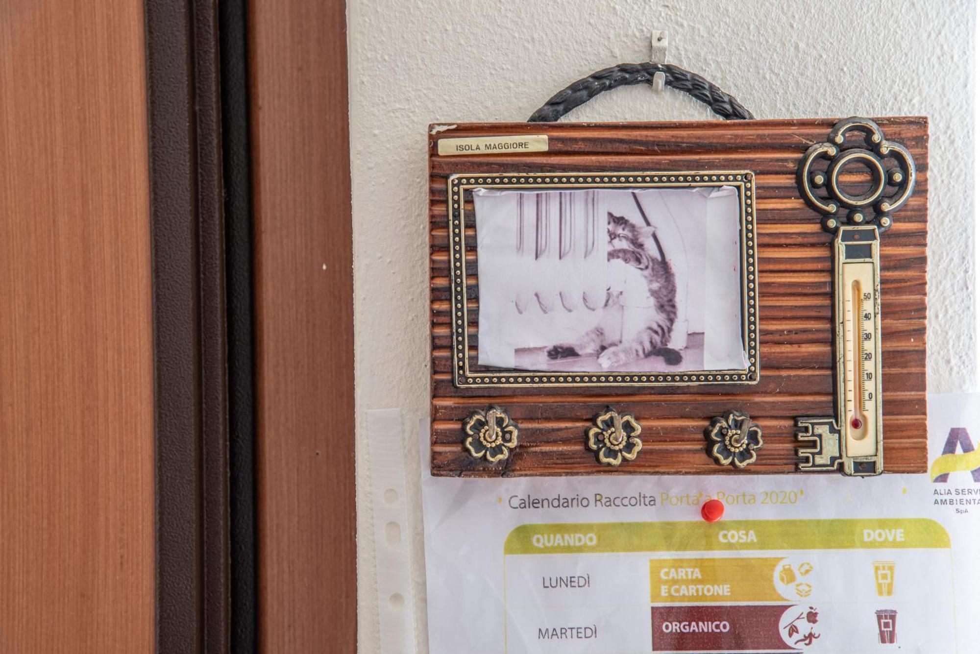 Via Della Musica Daire Vicchio Dış mekan fotoğraf